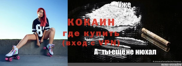 кокс Богородицк