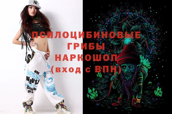 кокс Богородицк