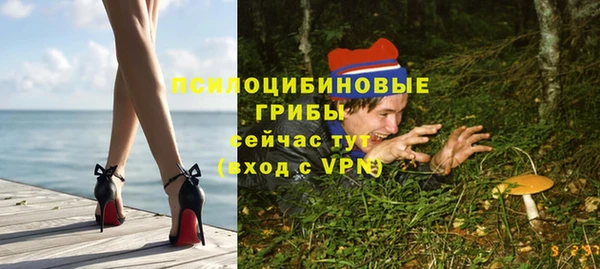 ГАЛЛЮЦИНОГЕННЫЕ ГРИБЫ Сатка