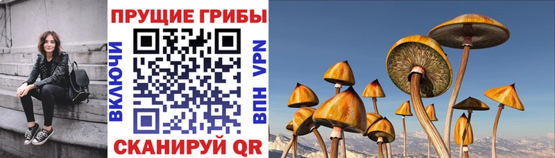 Галлюциногенные грибы прущие грибы  Краснозаводск 